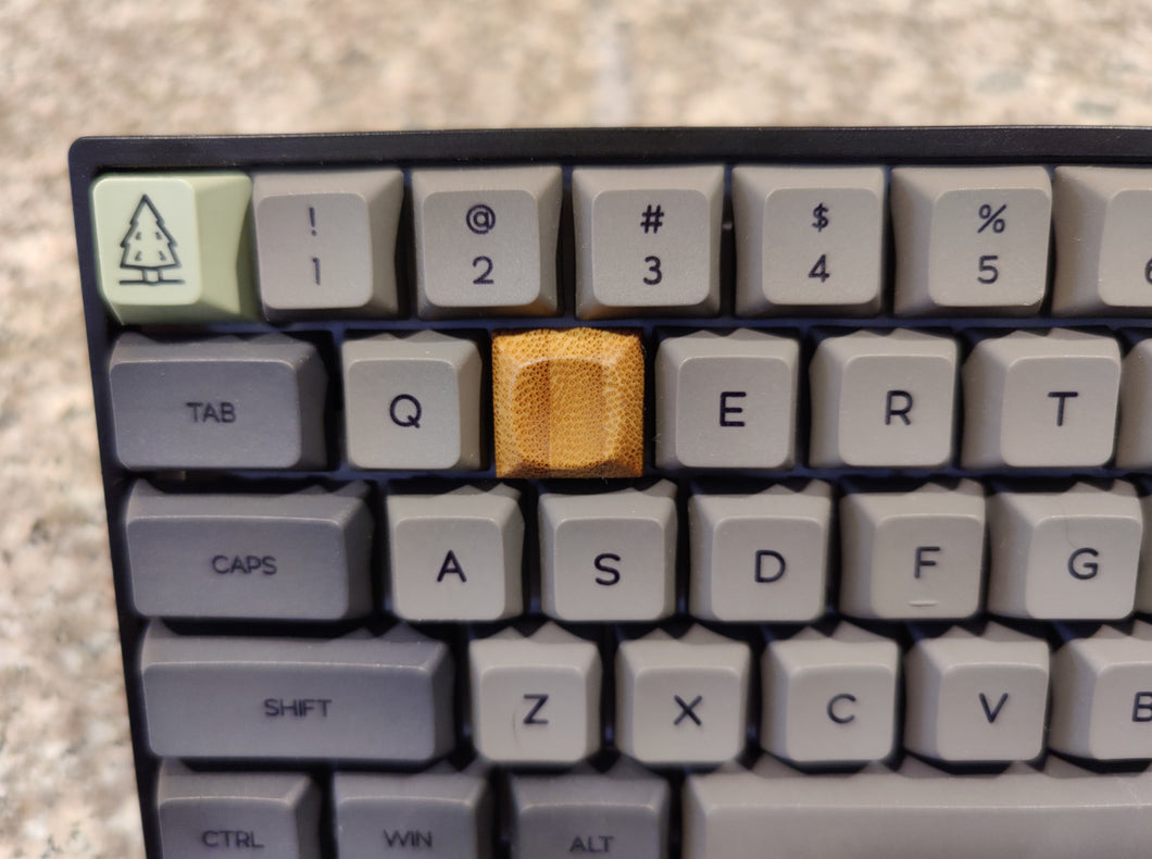 DSA - 1U - Blank Bamboo Key Cap